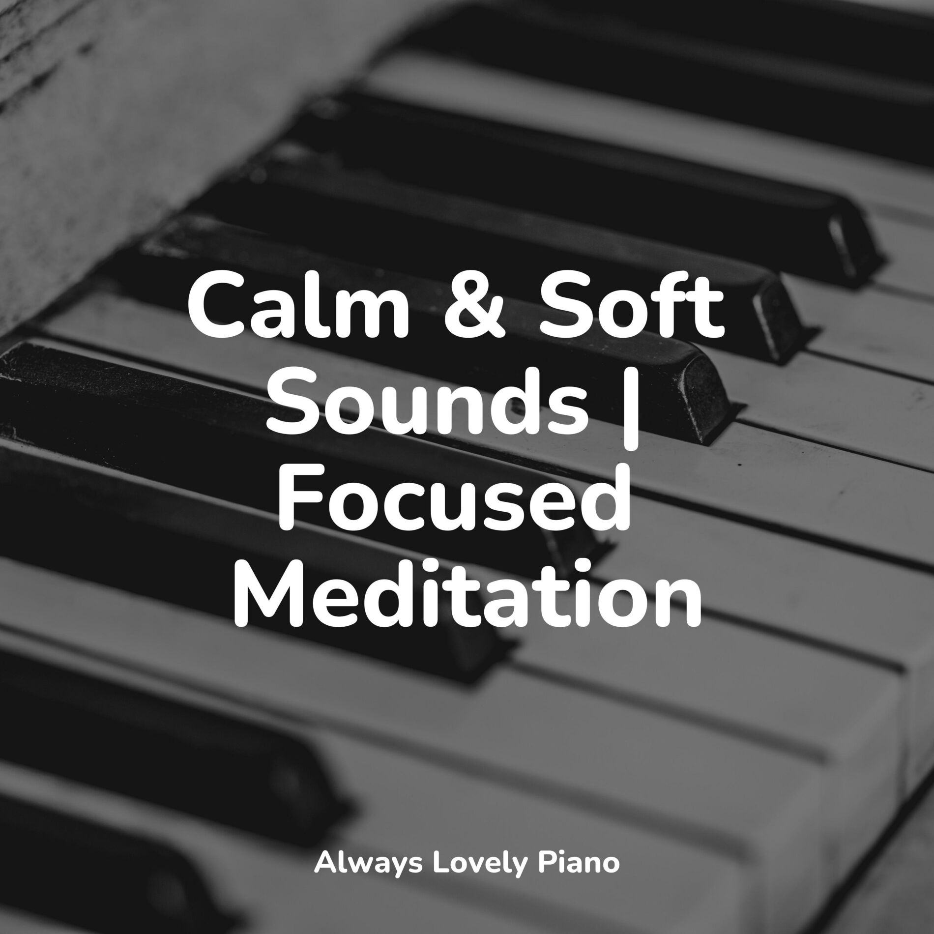 Album cover of Calm & Soft Sounds | Focused Meditation