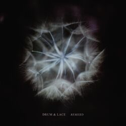 Cover of Remixed