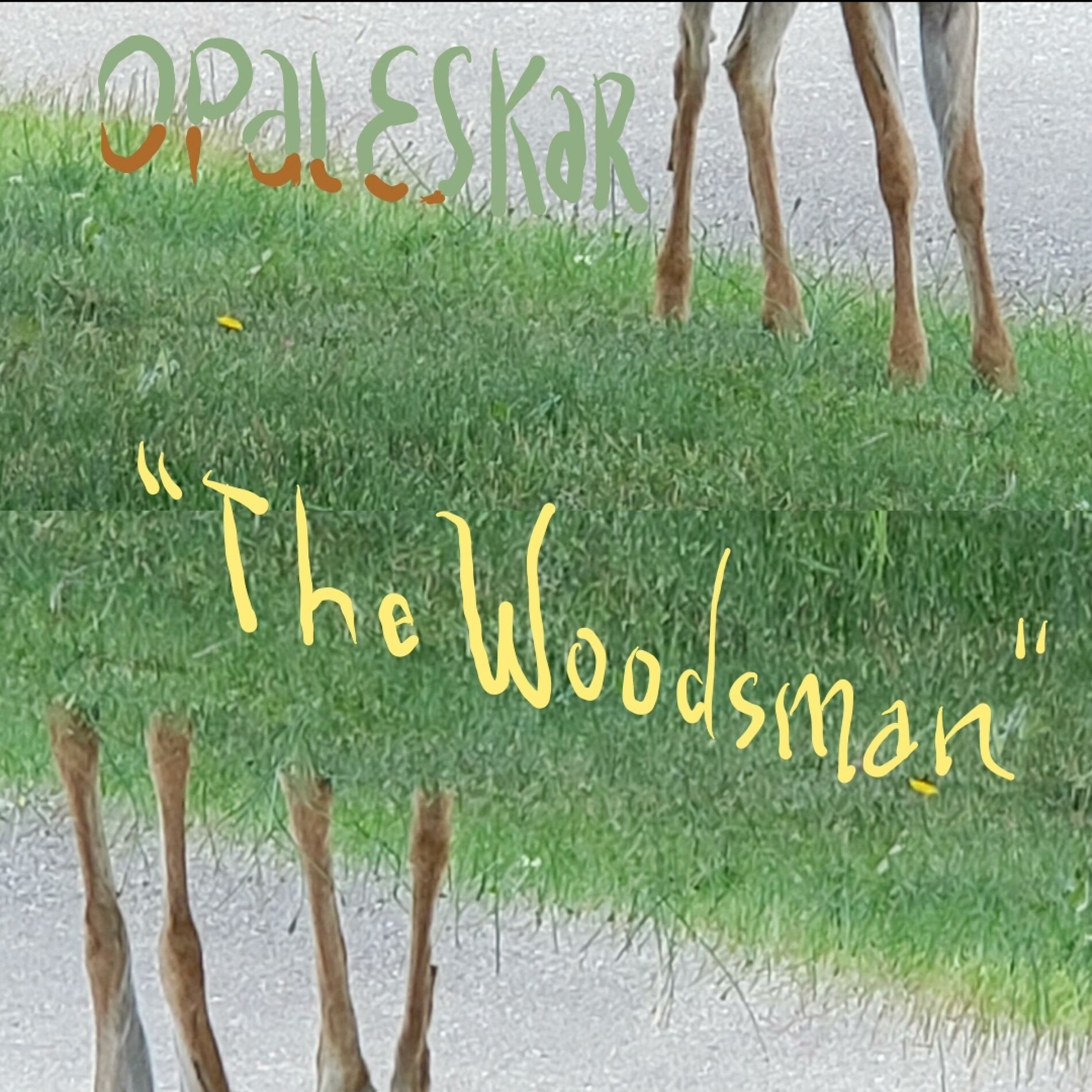 Album cover of The Woodsman (feat. Karl Blau)