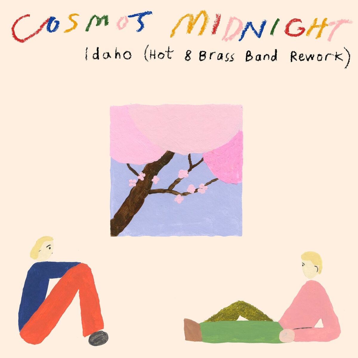 Album cover of Idaho (Hot 8 Brass Band Rework)
