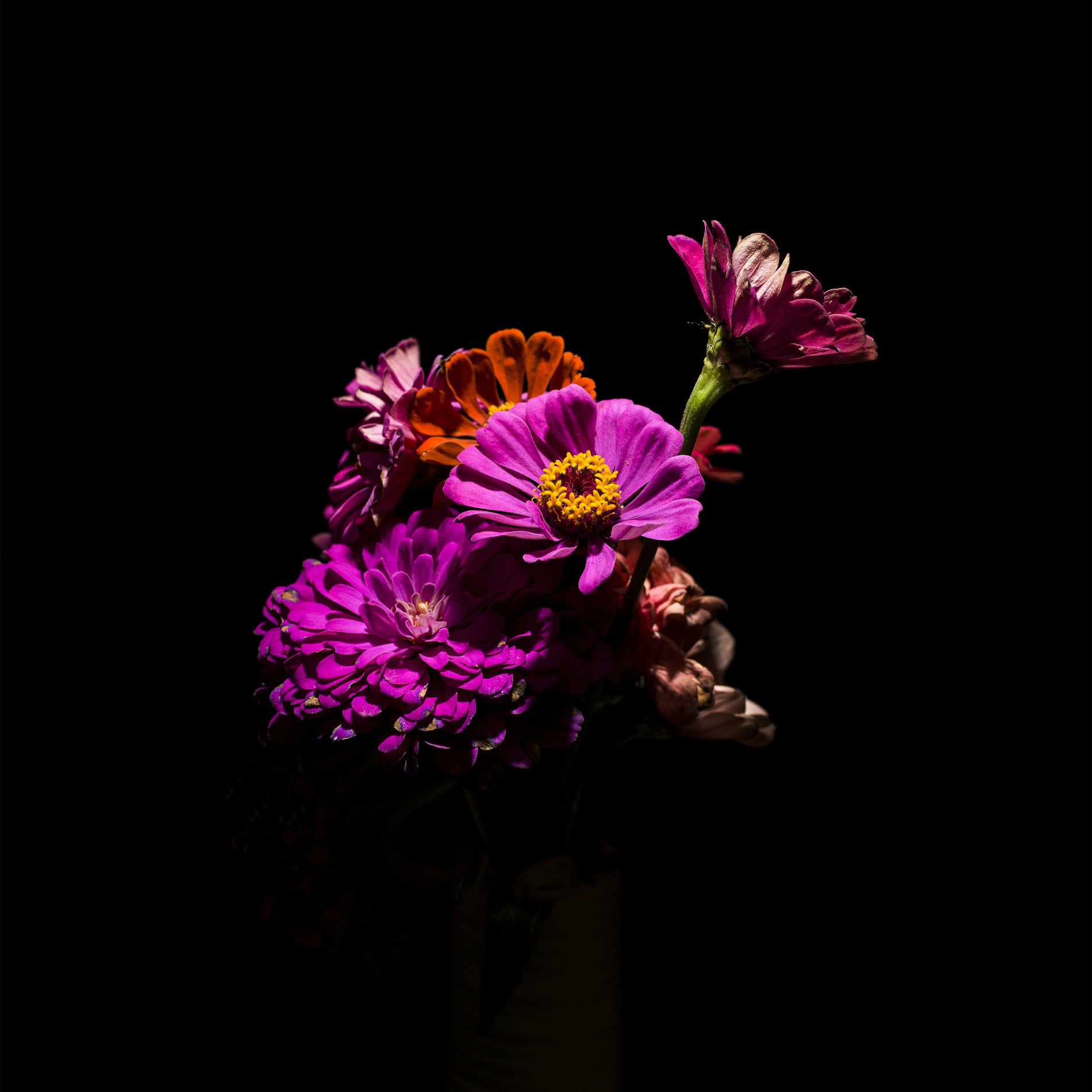 Album cover of Madrugada