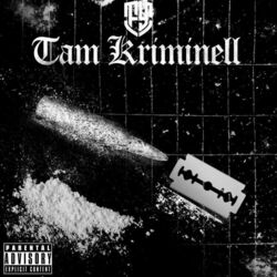 Cover of Tam kriminell