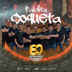 Cover of Faldita Coqueta