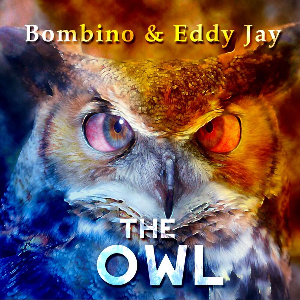 Picture of The Owl