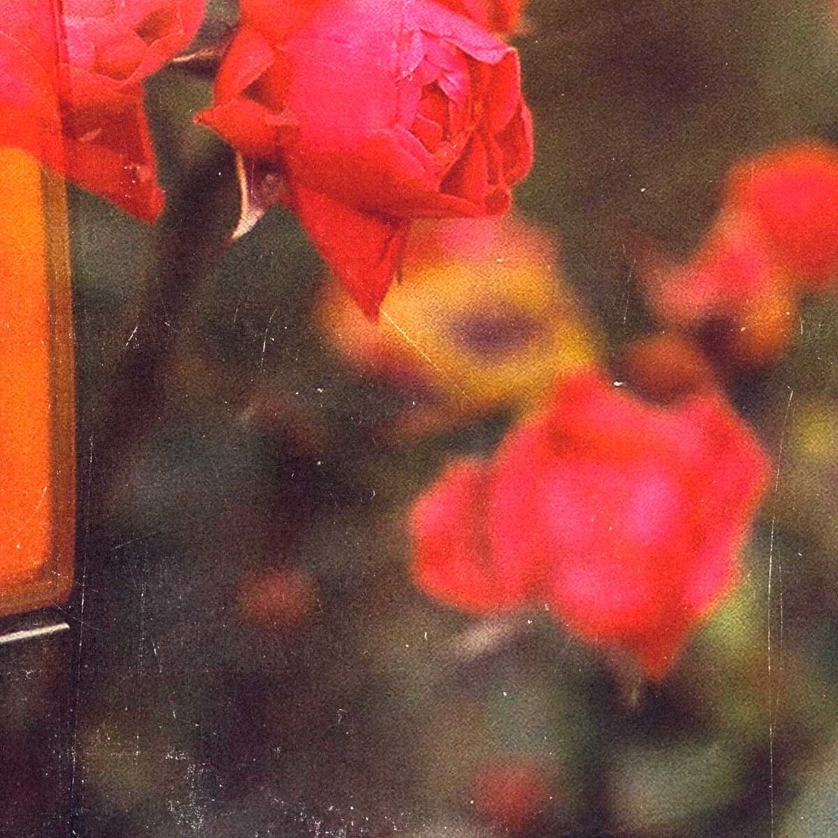 Album cover of Feel