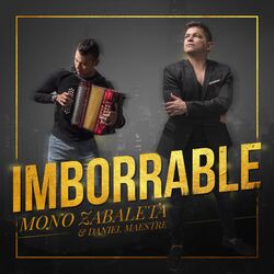 Cover of Imborrable