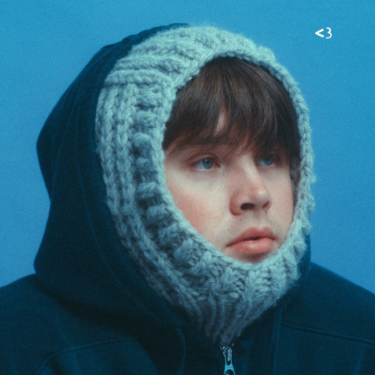 Album cover of Utan dina andetag