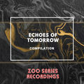 Echoes of Tomorrow