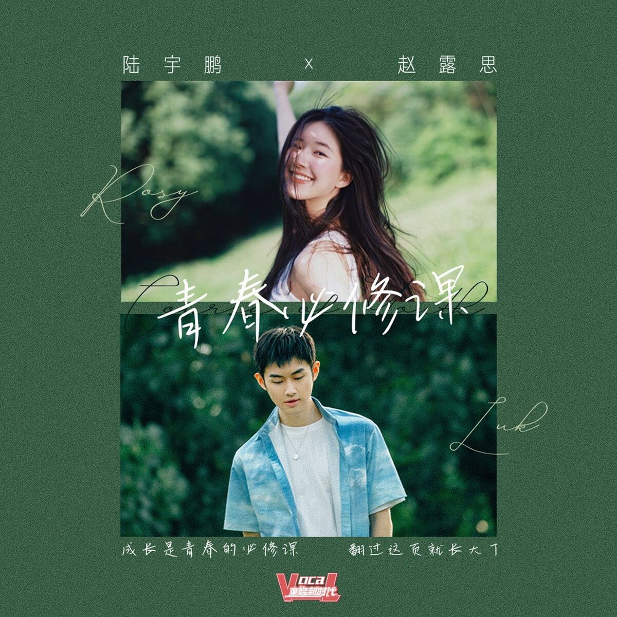 Album cover of 青春必修课