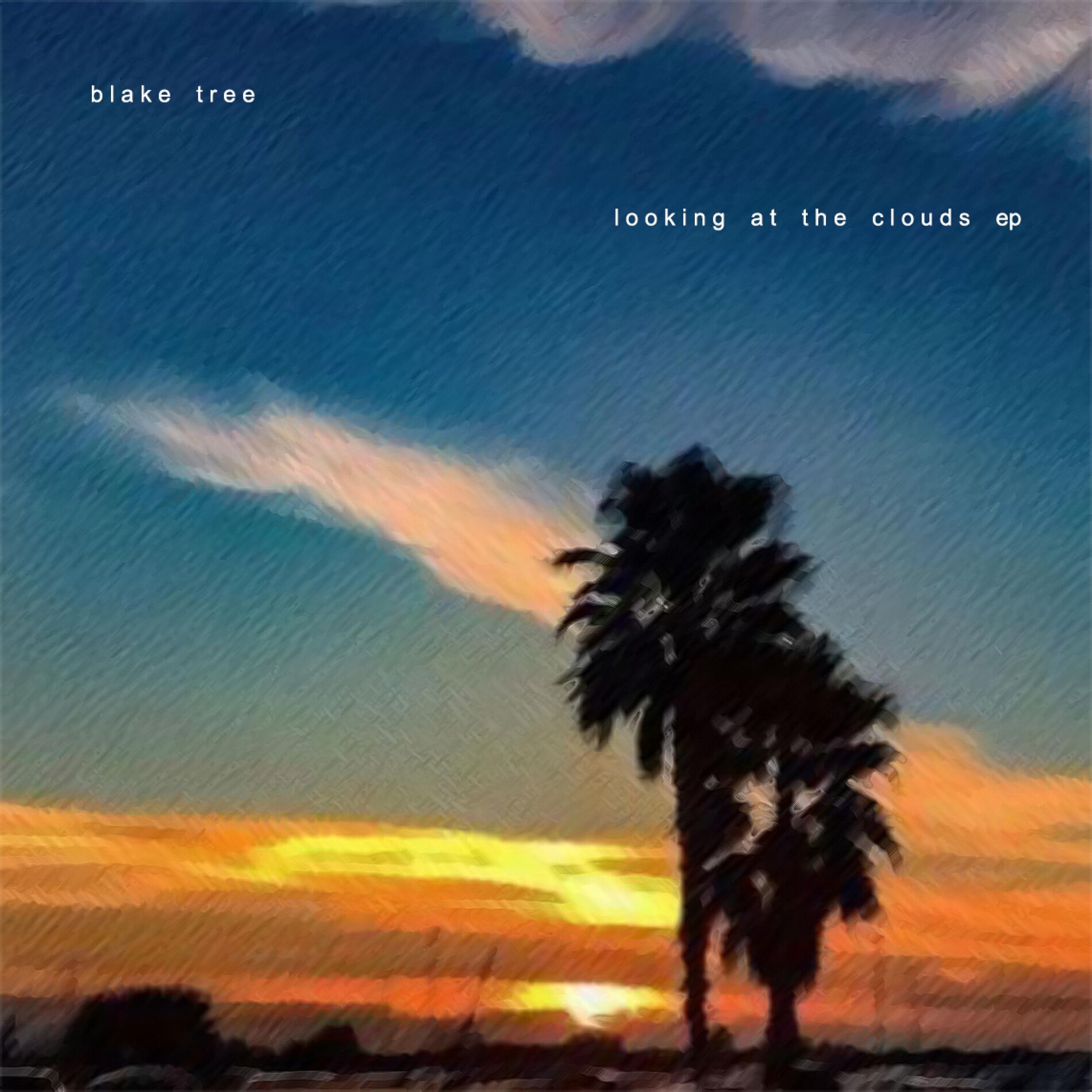 Album cover of Looking at the Clouds