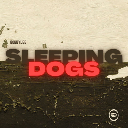 Sleeping Dogs sleeve