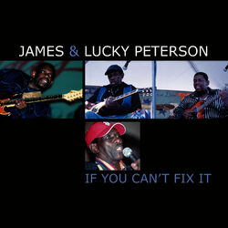 Cover of If You Can't Fix It