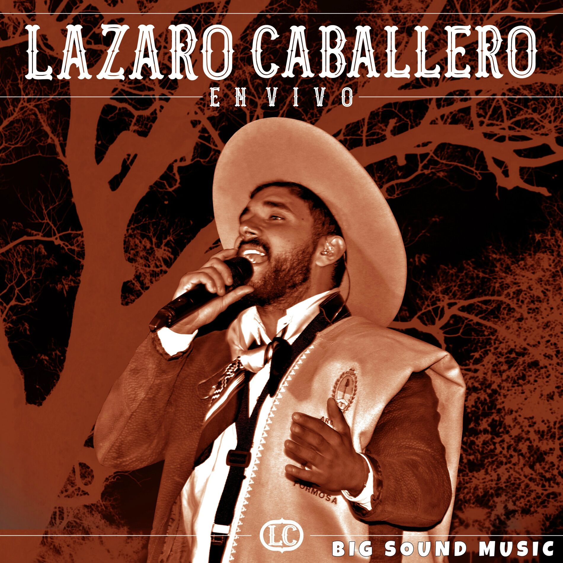 Album cover of En Vivo