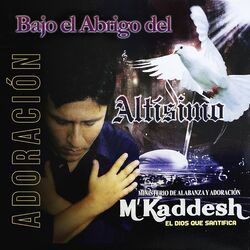 Cover of Bajo El Abrigo Del Altísimo