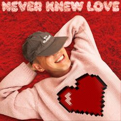 Cover of Never Knew Love (feat. Enisa)