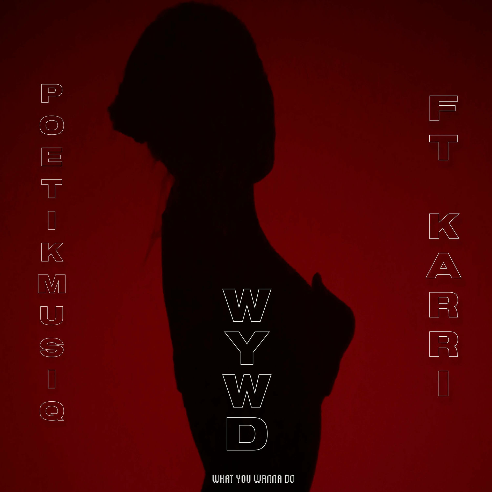 Album cover of W.Y.W.D (feat. Karri)