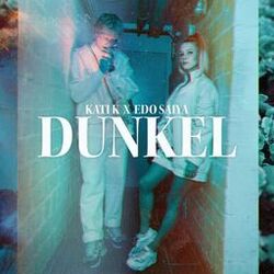 Cover of Dunkel