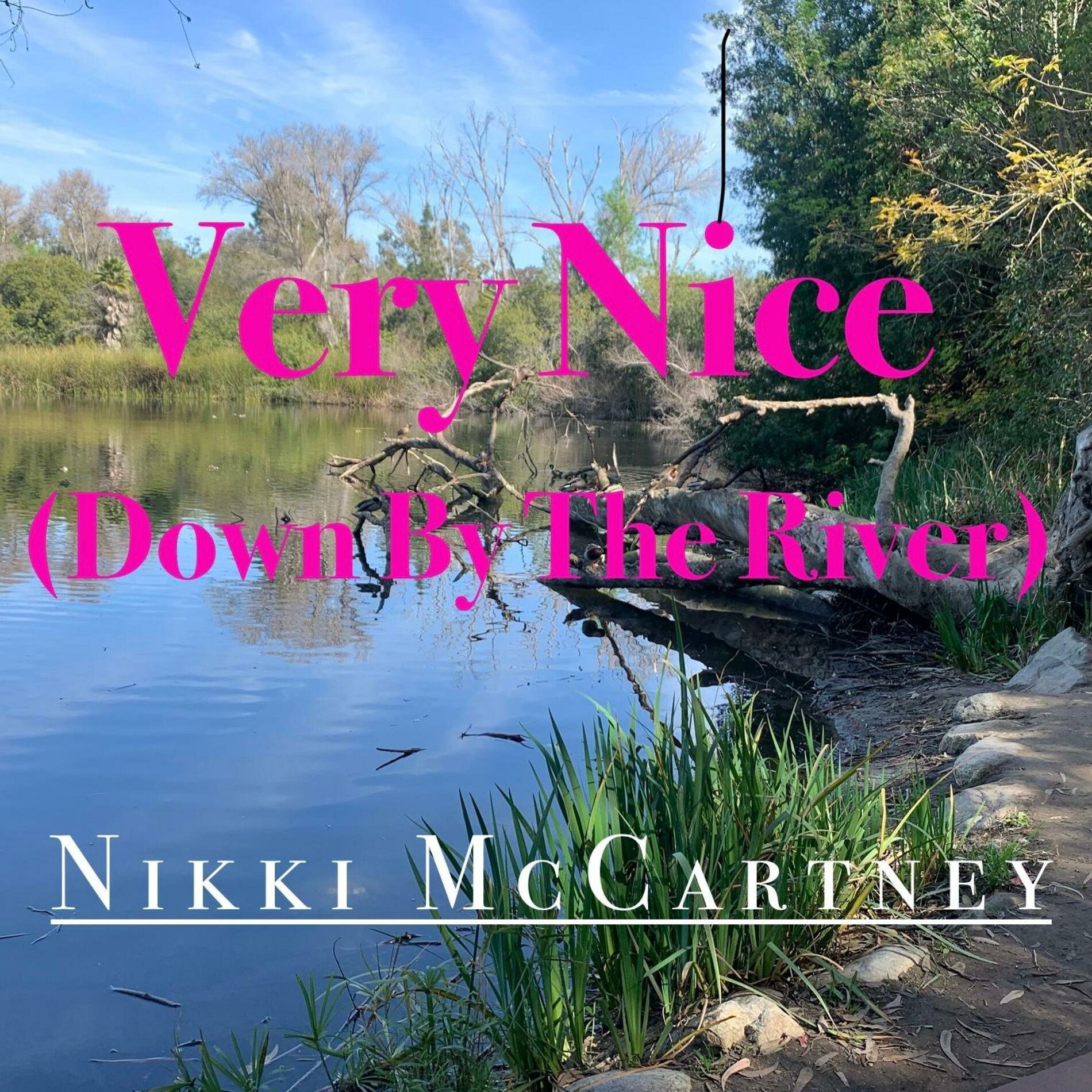 Album cover of Very Nice (Down By The River)