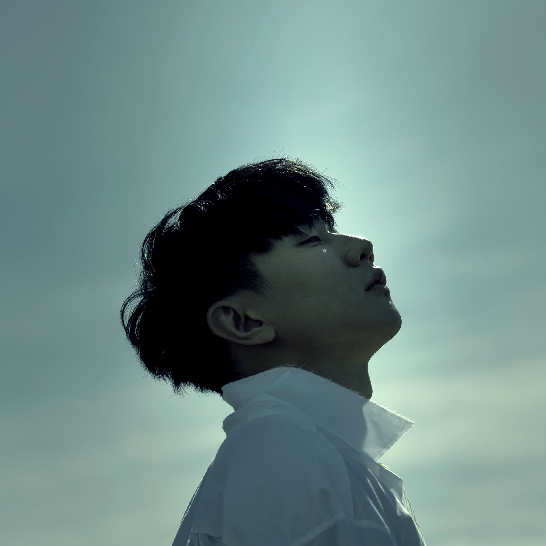 Album cover of 53 Dawns