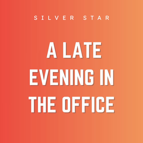 A Late Evening in the Office