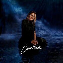 Cover of Control