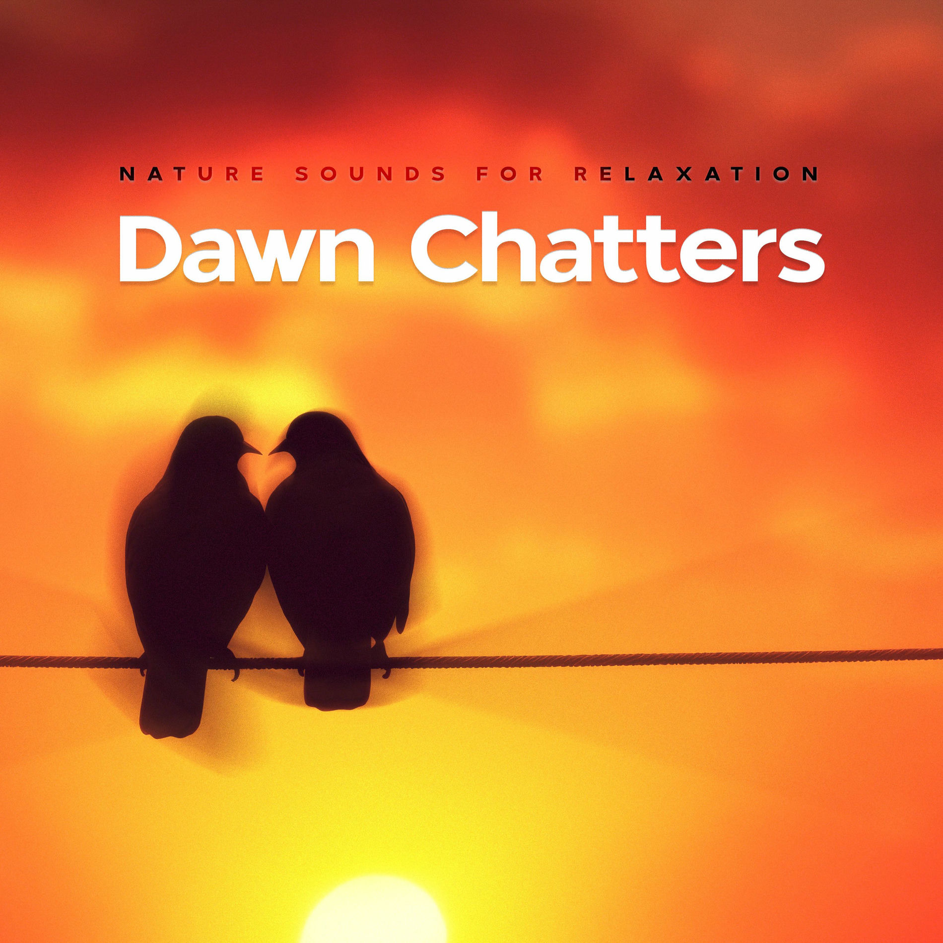 Album cover of Dawn Chatters