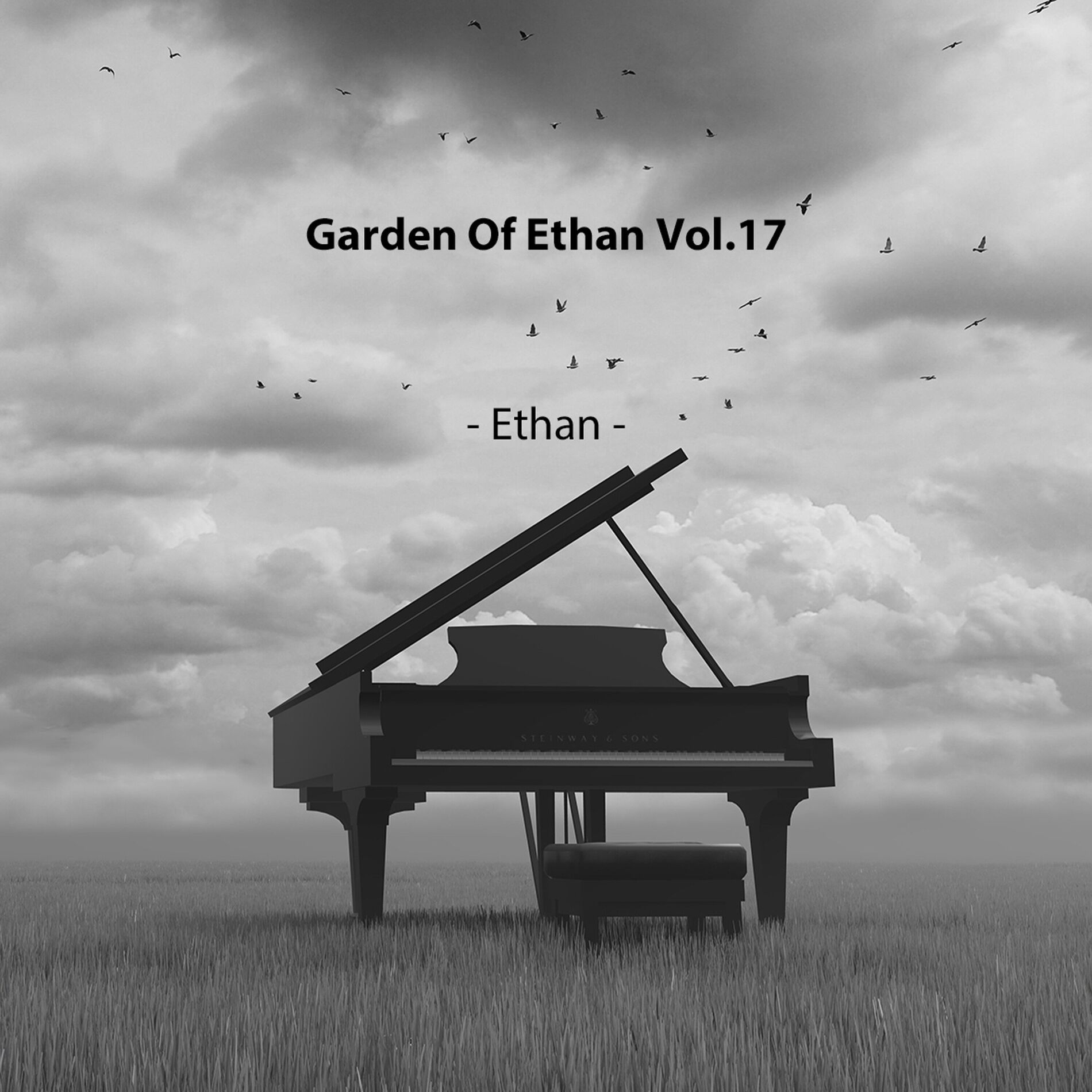 Album cover of Garden Of Ethan Vol.17