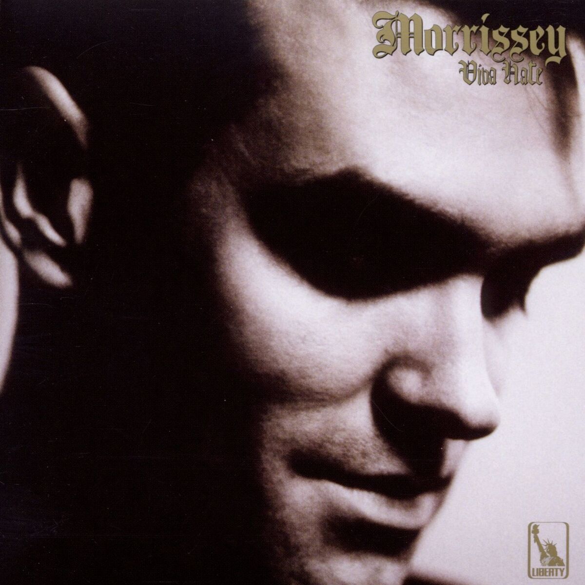 Album cover of Viva Hate (2014 Remaster)