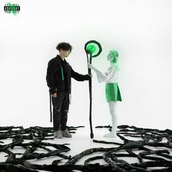 music cover