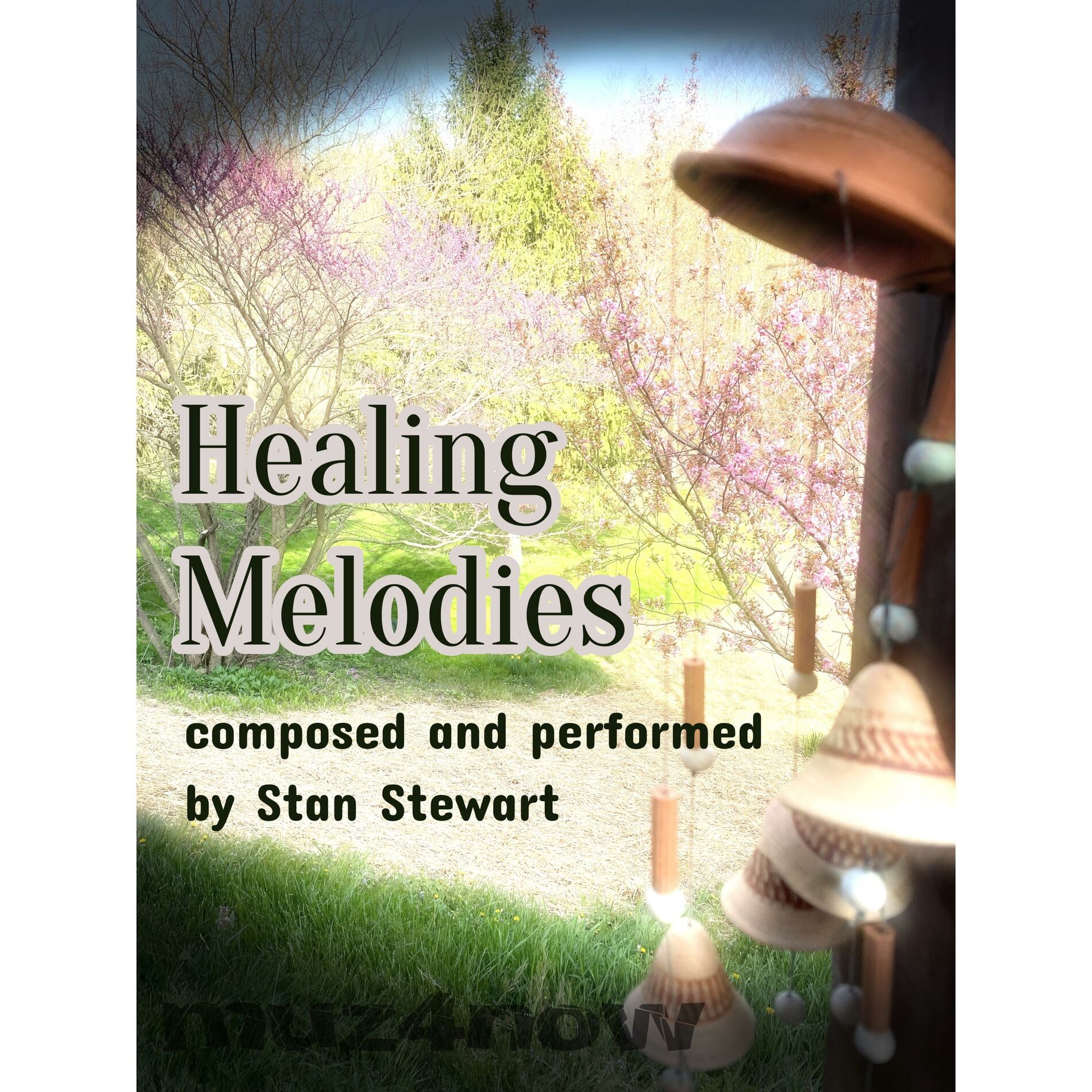 Album cover of Healing Melodies