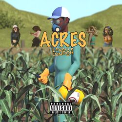 Cover of Acres
