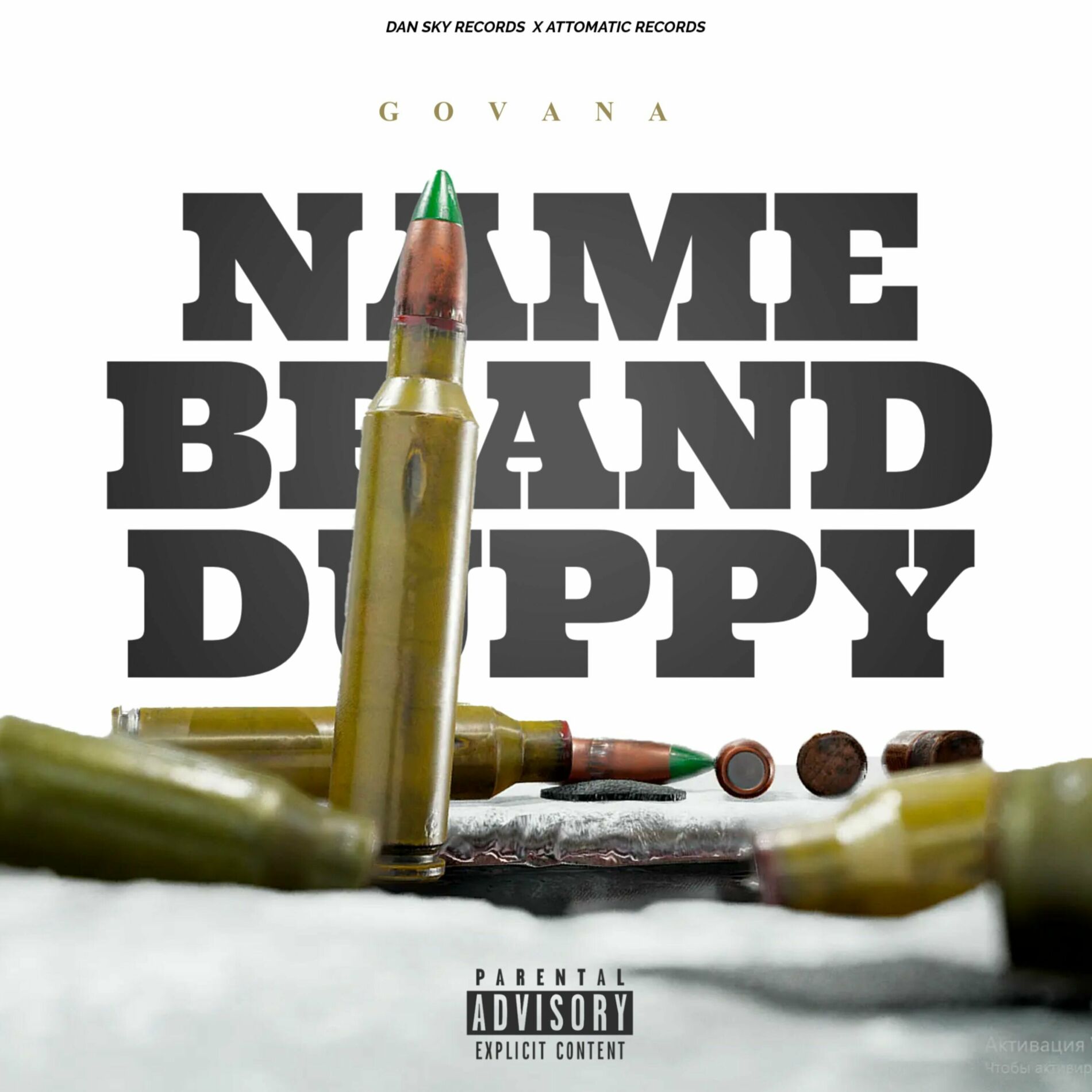 Album cover of Name Brand Duppy