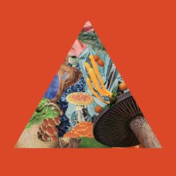 Cover of I'm Still Here