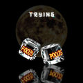 FOCUS POCUS