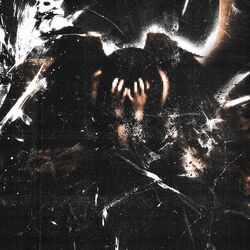 Cover of lie