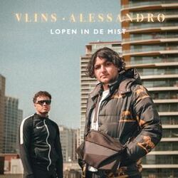 Cover of Lopen In De Mist
