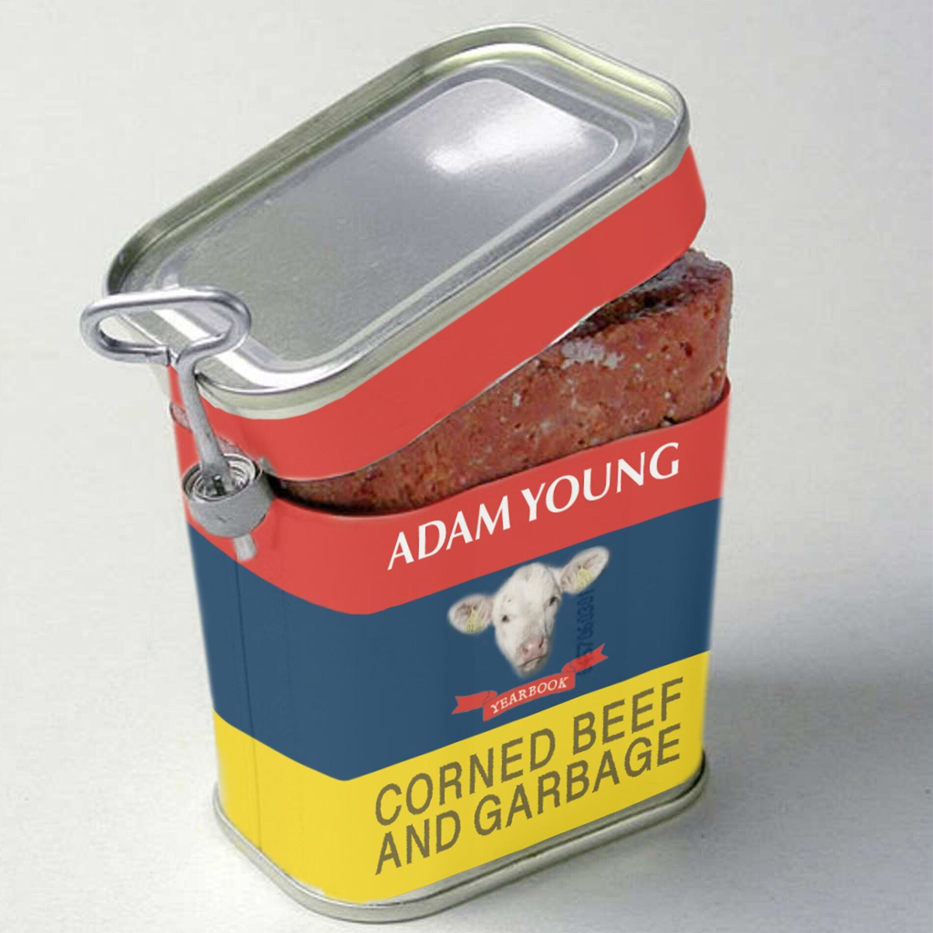 Album cover of Corned Beef and Garbage