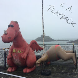 Cover of L.A. Playback