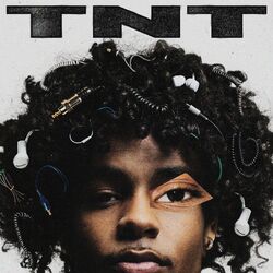 Cover of TNT