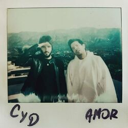 Cover of Amor