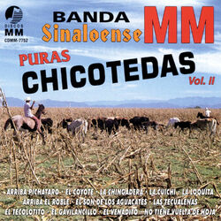 music cover