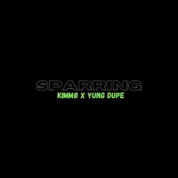 Cover of Sparring