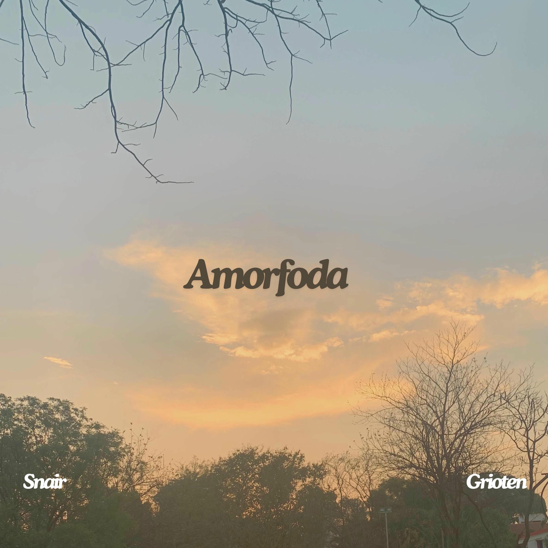 Album cover of Amorfoda (feat. Grioten)