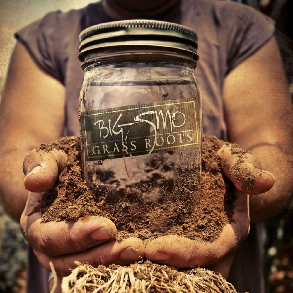 Picture of Grass Roots