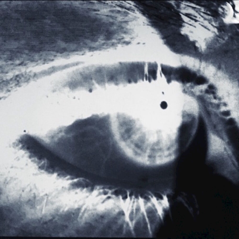 Picture of Eye Roll