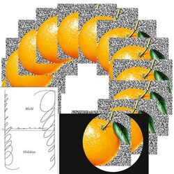 Cover of Holidays