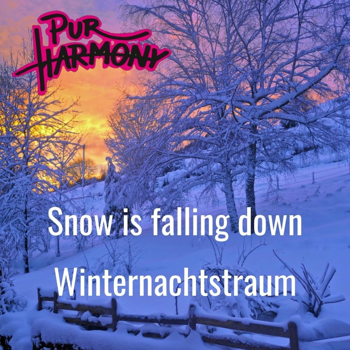 Album cover of Snow Is Falling Down / Winternachtstraum