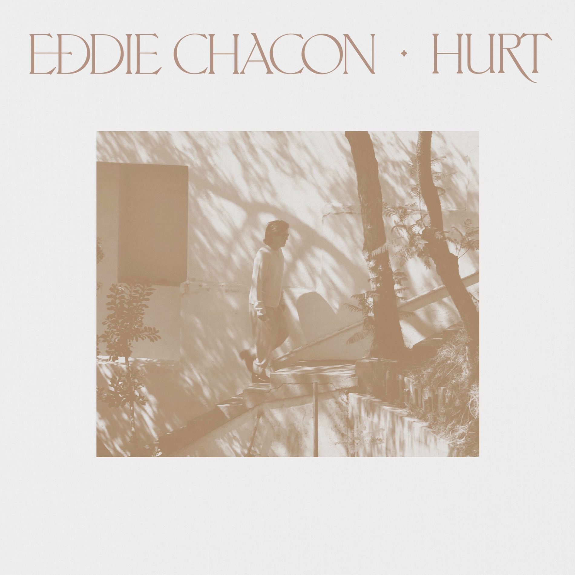 Album cover of Hurt
