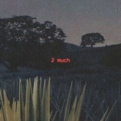 Cover of 2 much