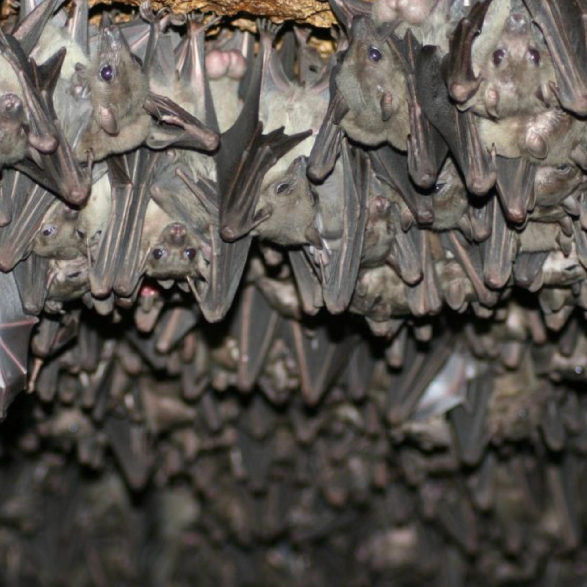 Album cover of Platinum